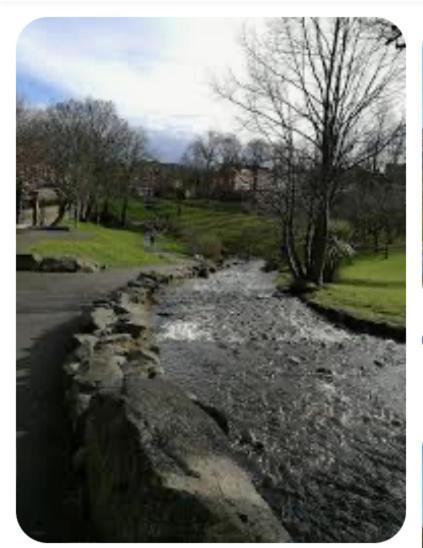 Allworthy Heights Hébergement de vacances Belfast